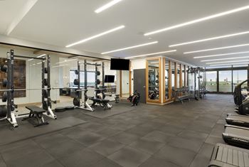 A spacious gym with a variety of equipment including treadmills, weights, and exercise machines.